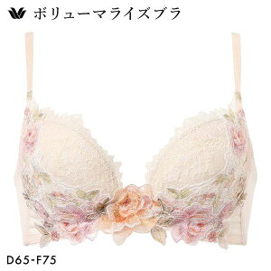 �撅1,000�~OFF�N�[�|���E�Ȃ��Ȃ莟��I�� 15��OFF ���R�[�� �{�����[�}���C�Y�u�� �v���~�A�� 22series BXD722 22G �u���W���[ DEF Wacoal ���f�B�[�X ���� �S4�F D65-F75