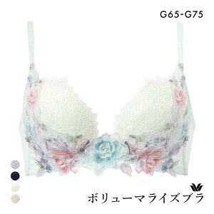 15��OFF ���R�[�� �{�����[�}���C�Y�u�� �v���~�A�� 22series BXD722 22G �u���W���[ G Wacoal �傫���T�C�Y ���f�B�[�X �S4�F G65-G75