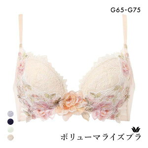 15��OFF ���R�[�� �{�����[�}���C�Y�u�� �v���~�A�� 22series BXD722 22G �u���W���[ G Wacoal �傫���T�C�Y ���f�B�[�X ���� �S4�F G65-G75