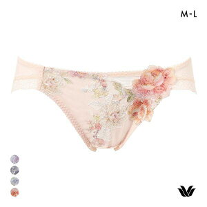 15��OFF�y���[����(4)�z ���R�[�� �v���~�A�� 22series BXD022 BXD422 BXD722 PXD122 22G �V���[�c �n�C���b�O ������ ML Wacoal ���f�B�[�X �S4�F M-L