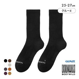【メール便(24)】 グンゼ BODYWILD by BEAMS DESIGN アーチサポート クルー丈 ソックス メンズ 25-27cm GUNZE ビームス ボディワイルド 全8色