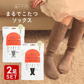 ＼11％OFFクーポン配布中・11/13 23:59まで／【送料無料】 靴下サプリ とにかくあったかい まるでこたつソックス 二足組 靴下 ハイソックス レディース 冷え対策 発熱 23-25cm 全3色
