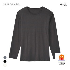 20OFF O[ t@C[AZh  N[lbN Vc  Y 傫TCY GUNZE FIREAZh S3F M-LL