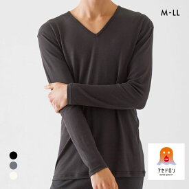 20％OFF グンゼ ファイヤーアセドロン 長袖 Vネック シャツ 薄手 メンズ 大きいサイズ GUNZE FIREアセドロン 全3色 M-LL