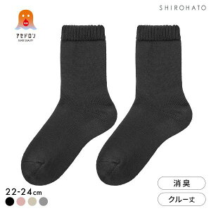 10OFFy[(30)z O[ t@C[AZh 3w\ [\bNX fB[X N[ C GUNZE Ƃ ۉ S4F