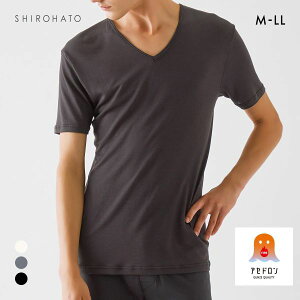 20OFF O[ t@C[AZh VlbN TVc  Y 傫TCY GUNZE FIREAZh S3F M-LL