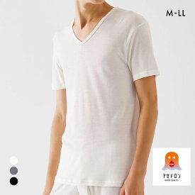 20％OFF グンゼ ファイヤーアセドロン Vネック Tシャツ 薄手 メンズ 大きいサイズ GUNZE FIREアセドロン 全3色 M-LL