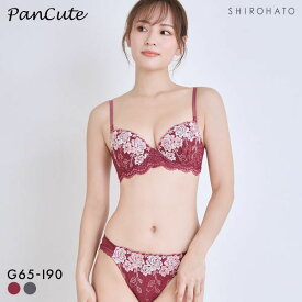 【最大1,000円クーポン・なくなり次第終了】 パンキュート らくちんソフトワイヤー グロッシーローズ ブラセット GHI65-95 グラマー アンダー大きいサイズ 脇肉 谷間 美胸 レディース 下着 上下セット 全2色 G65-M-I90-3L