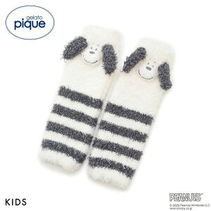 WF[gsP LbYAhxCr[ gelato pique KidsBaby PEANUTS PUPPIES KIDSXk[s[bOEH[}[ WFsP LbY