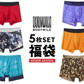 グンゼ BODY WILD ボクサーパンツ お楽しみ福袋 5枚セット メンズ アンダーウェア GUNZE ボディワイルド 大きいサイズ M-LL
