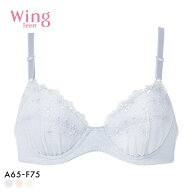 【20%OFF・5/18 09:59まで】 ワコール ウイング ティーン ジュニアブラジャー ABCDEF ワイヤー入り 大き…