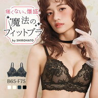 【送料無料】 魔法のフィットブラ ブラジャー ノンワイヤー の様なワイヤーブラ レディース 下着 大きい…