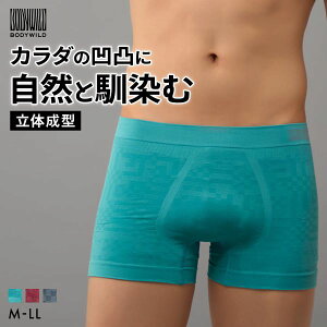 �y�ő�1,000�~�N�[�|���E�Ȃ��Ȃ莟��I���z 20��OFF�y���[����(18)�z �O���[ BODY WILD 3D-Boxer �W�I���g���b�N�`�F�b�N�� �{�N�T�[�p���c �����Y ���̐��^ �O�Ƃ� GUNZE �{�f�B���C���h �S3�F M-LL ��