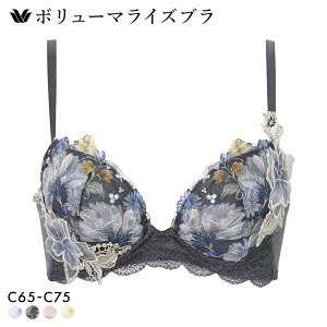 �撅1,000�~OFF�N�[�|���E�Ȃ��Ȃ莟��I�� 15��OFF ���R�[�� �{�����[�}���C�Y�u�� �v���~�A�� 26series BXD726 26G �u���W���[ C Wacoal ���f�B�[�X �S4�F C65-C75 ����