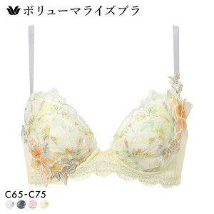 15��OFF ���R�[�� �{�����[�}���C�Y�u�� �v���~�A�� 26series BXD726 26G �u���W���[ C Wacoal ���f�B�[�X �S4�F C65-C75