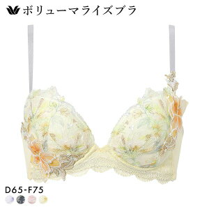 15��OFF ���R�[�� �{�����[�}���C�Y�u�� �v���~�A�� 26series BXD726 26G �u���W���[ DEF Wacoal ���f�B�[�X �S4�F D65-F75