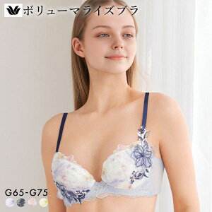 �撅1,000�~OFF�N�[�|���E�Ȃ��Ȃ莟��I�� 15��OFF ���R�[�� �{�����[�}���C�Y�u�� �v���~�A�� 26series BXD726 26G �u���W���[ G Wacoal �傫���T�C�Y ���f�B�[�X �S4�F G65-G75 ����