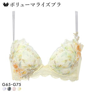 15��OFF ���R�[�� �{�����[�}���C�Y�u�� �v���~�A�� 26series BXD726 26G �u���W���[ G Wacoal �傫���T�C�Y ���f�B�[�X �S4�F G65-G75