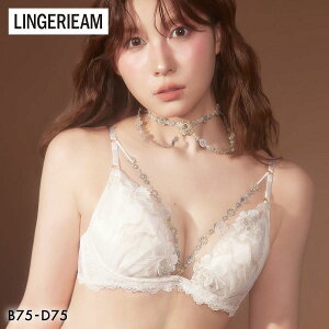 LINGERIEAM ���r�_���[ �g���b�N���t�g �u���W���[ BCD ���� �J�� �o�X�g�A�b�v ���t�g�A�b�v RAVIJOUR �����B�W���[�� ���f�B�[�X �S3�F B75-D75