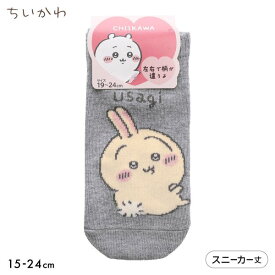 【メール便(10)】 ちいかわ ソックス うさぎ スニーカー丈 ジュニア キッズ 靴下 入園 入学 キャラクター 15-20cm 19-24cm 15-20cm-19-24cm くつ下