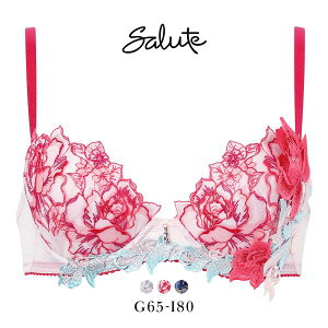 15��OFF ���R�[�� �T���[�g 36�O���[�v 36G P-UP �u���W���[ �v�b�V���A�b�v GHI �傫���T�C�Y �J�� Wacoal Salute BTJ436 26SS�V�[�Y�� ���f�B�[�X �S3�F G65-I80 ���� ���C���[�u�� ���C���[����