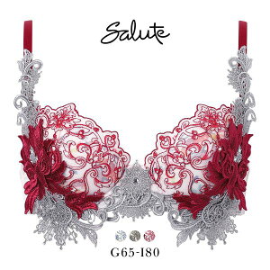 15��OFF �u���W���[ ���R�[�� �T���[�g 42�O���[�v 42G P-UP GHI �v�b�V���A�b�v �J�� Wacoal Salute BTJ442 ���� 26AW��s�v���X�e�[�W ���f�B�[�X �S3�F G65-I80 ���C���[�u�� ���C���[����