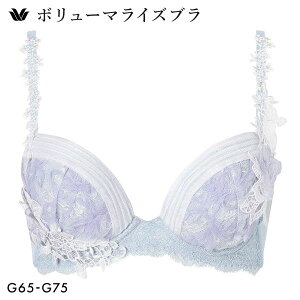 15��OFF �u���W���[ ���R�[�� �{�����[�}���C�Y�u�� �v���~�A�� 31series BXD731 31G G �傫���T�C�Y Wacoal ���f�B�[�X �S4�F G65-G75 ����