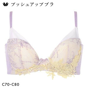 15��OFF �u���W���[ ���R�[�� �v�b�V���A�b�v�u�� �v�����W���O�^�C�v �v���~�A�� 30series BXD430 30G C Wacoal ���f�B�[�X �S3�F C70-C80 ���� ���C���[�u�� ���C���[����
