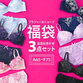 楽天市場 ブラ 福袋 インナー 下着 ナイトウェア の通販