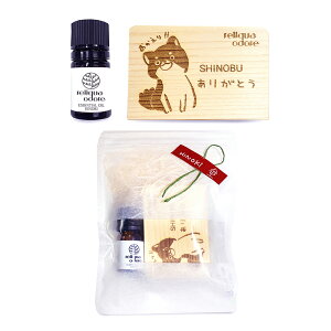 ylbgizЂ̂X̑蕨 Õv[g  20 30 40   v[g FB v[g yw  F~jMtgZbg  Ђ̂5mlZ