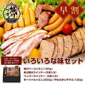 【11/11 1:59までP10倍・早割500円オフクーポン】お歳暮 早割 ギフト セット 送料無料 「いろいろな味セット」城川ベーコン 高級 愛媛県産豚肉 愛媛 城川 プレゼント 内祝い お祝い 贈り物 誕生日 お返し ベーコン ハム ウィンナー ソーセージ キャンプ バーベキュー BBQ