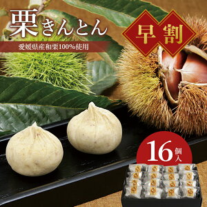 y11/11 1:59Ε鑁500~ItN[|zΕ  Mtg َq aَq uIƂ 16v XC[c yY I 肫Ƃ aI  N } Y   