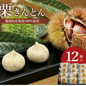 hV̓ Mtg َq XC[c aَqy IƂ 12z 肫Ƃ I aI  N } 㐶َq Y   Y F  v[g 蕨 a