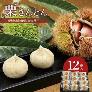 Ε Ε َq ~Mtg Mtg  XC[c uIƂ 12v aَq 肫Ƃ I aI  N } 㐶َq Y   Y F v[