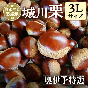 yX[p[SALE339~ItN[|z QY̑嗱I 3LTCY1`4kg _r[4.7̍]I^ I  N I 傫 Â  Yi ĂI I I Ԍ G