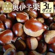 【最安1kg2945円〜！】新栗 愛媛県奥伊予の大粒生栗 3Lサイズ1〜4kg ＼レビュー★4.7の高評価！／ 栗 く…