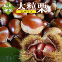 【最安1kg2945円〜！】愛媛県城川産の大粒生栗 3Lサイズ1～4kg入 ＼レビュー★4.7の高評価！／ 栗 くり クリ 生栗 大きい 甘い 大玉 特産品 焼き栗 栗ご飯 生栗 期間限定 季節限定 先行予約 1kg 2kg 3kg 4kg 和栗 秋の味覚 【9月下旬から10月上旬発送予定】