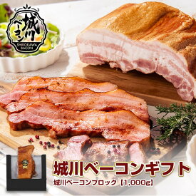 《レビューキャンペーン実施中》冬ギフト ギフト「ブロックベーコン1kg」 送料無料 ベーコン ブロック オリジナルベーコン 特大ブロックベーコン 城川ベーコン 愛媛県産豚肉 冷蔵 お取り寄せ プレゼント 贈り物 バーベキュー キャンプ パーティー お祝い BBQ 愛媛県
