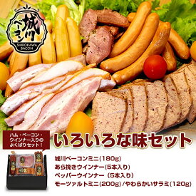 【バレンタイン 早割 P10倍】 ギフト ハム セット 送料無料 「いろいろな味セット」 城川ベーコン 高級 豚肉 愛媛県産豚肉 愛媛 城川 プレゼント 内祝い お祝い 贈り物 誕生日 お返し ベーコン ハム ウィンナー ソーセージ キャンプ バーベキュー BBQ