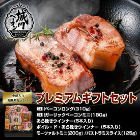 《レビューキャンペーン実施中》 ハム ハムギフト 冬ギフトギフト ウインナー 肉 ベーコン 送料無料プレミアムギフトセット 城川ベーコン 高級 ご贈答 お取り寄せ 手土産 内祝い プレゼント 国産 バラエティ バーベキュー BBQ ソーセージ キャンプ 豚肉 バレンタイン