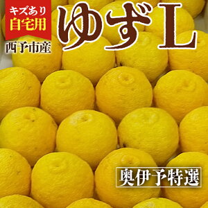 y|Cg10{zyň1kg1,299~~z䂸 \̔ uLY LTCYvQ \sY  2kg 6kg 10kg Mq Y yuzu MqӞ  Mq 䂸 Mq 䂸| 䂸 Y MqC