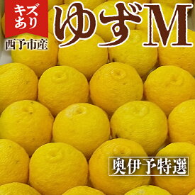 【最安1kg928円~】ゆず「キズあり Mサイズ」愛媛県 西予市産 送料無料 2kg 6kg 10kg 柚子 ユズ yuzu 柚子胡椒 薬味 黄柚子 ゆず茶 柚子茶 ゆず酢 ゆず油 ユズ湯 柚子風呂 冬至 ギフト プレゼント 産地直送 お歳暮