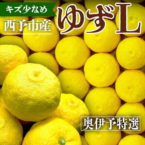 yň1kg2,289~~z䂸 \̔ uLYȂ LTCYvQ \sY  2kg 6kg Mq Y yuzu MqӞ Mq 䂸 Mq 䂸| 䂸 Y MqC ~ Mtg v[