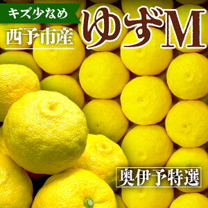 yň1kg2,132~~z䂸 \̔ uLYȂ MTCYvQ \sY  2kg 6kg Mq Y yuzu MqӞ Mq 䂸 Mq 䂸| 䂸 Y MqC ~ Mtg v[