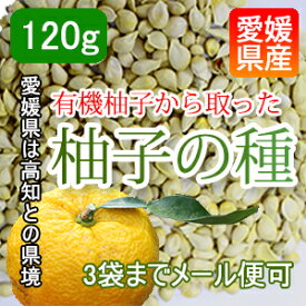 楽天市場 ゆずの種 化粧水の通販 楽天市場 ゆずの種 化粧水の通販