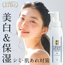 ひとつでシミ対策も叶う【薬用プリエネージュ プラセリッチゲルBIG（大容量150g/プッシュ式）】 プラセンタ オールインワンゲル オールインワンジェル 美白 しみ くすみ シワ 無添加 保湿 清潔 安心 便利 ポンプ 白くま化粧品