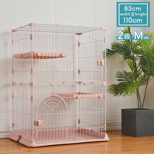 L P[W LbgP[W lRP[W ybgP[W 2i 1~2C LbgnEX Trɂ h яoh~ h~  ی qL Lpi ybgpi   V