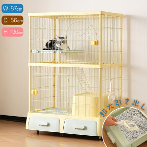 L P[W gCt |₷g[P[W og[ lRP[W [^ LbgP[W 2i 1~2C LX^[t LbgnEX Trɂ h яoh~ h~ 