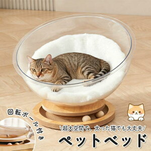 LFD Lxbh u LnEX a37cm fUC AN NA{E  h[xbh Lbgxbh ؐx[X ybgxbh ӂӂNbVt Q h[ V