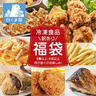 【ポイント10倍！オープン記念 8/1-11まで】【訳あり福袋】冷凍食品 お楽しみセット 6種以上 8点以上